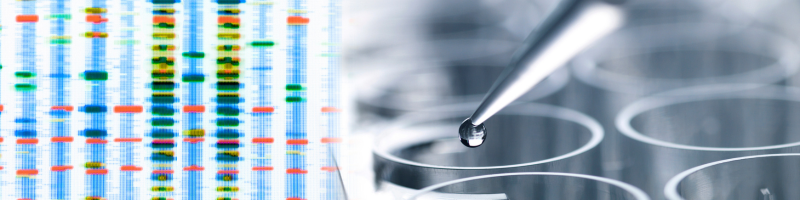 Como a Porfiria Aguda Intermitente é diagnosticada